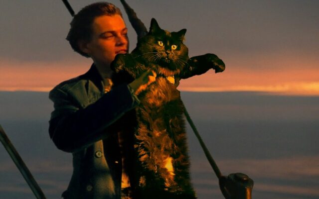 WATCH: Titanic with a Cat